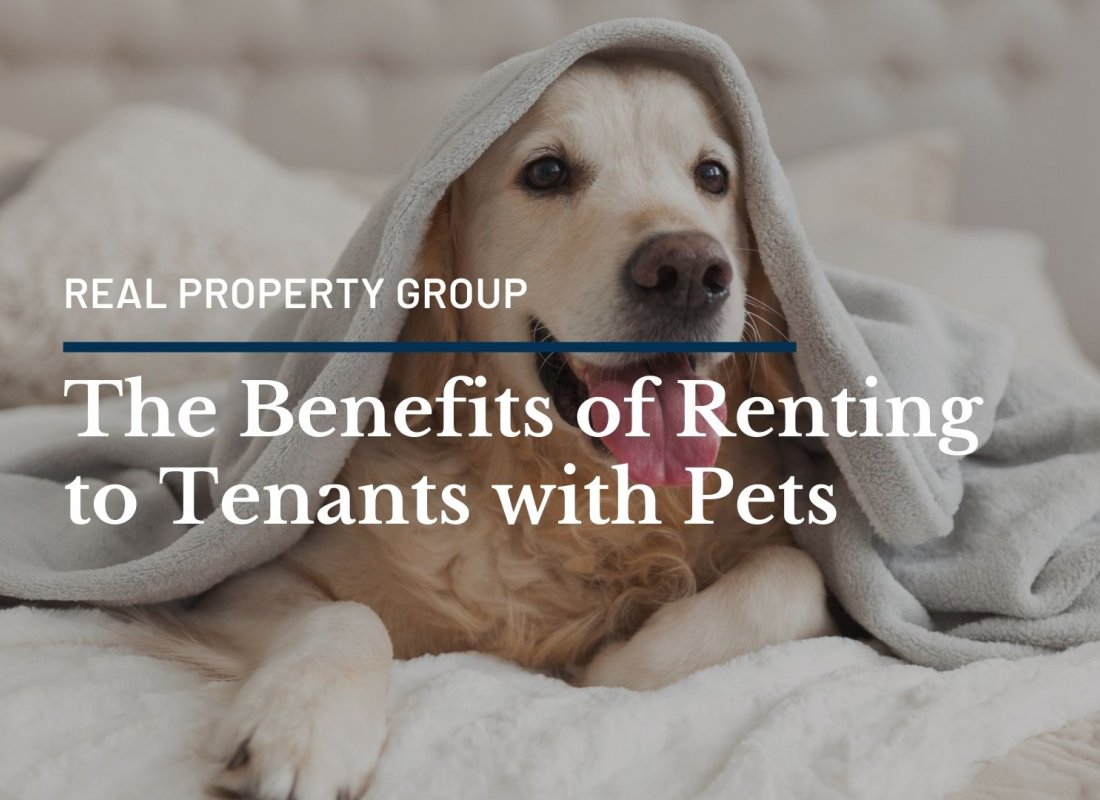 The Benefits of Renting to Tenants with Pets